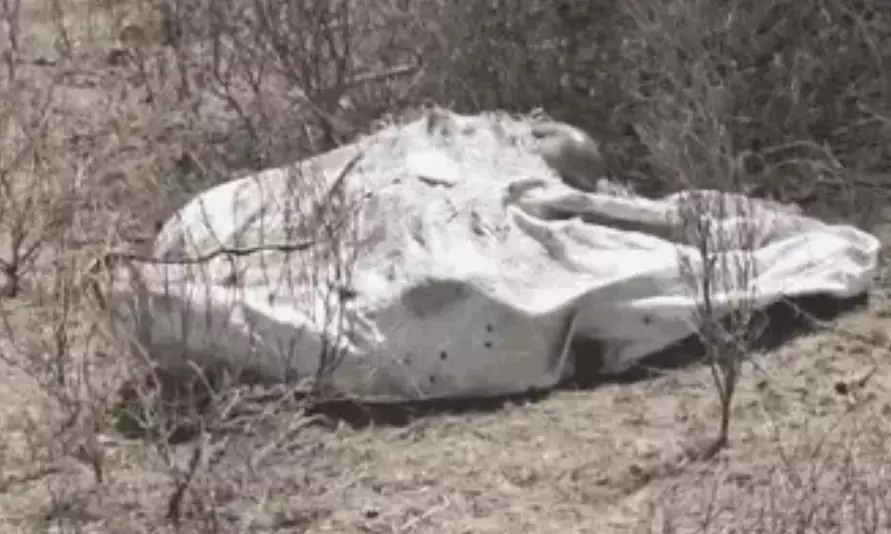 क्रूरता की हदें पार: नागौर में बुजुर्ग महिला की गला और पैर काटकर हत्या, 7 लाख के गहने लूटे क्रूरता की हदें पार: नागौर में बुजुर्ग महिला की गला और पैर काटकर हत्या, 7 लाख के गहने लूटे