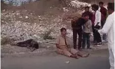 मारवाड़ जंक्शन: काली घाटी में इमारती लकड़ी से भरा ट्रक पलटा, बड़ा हादसा टला