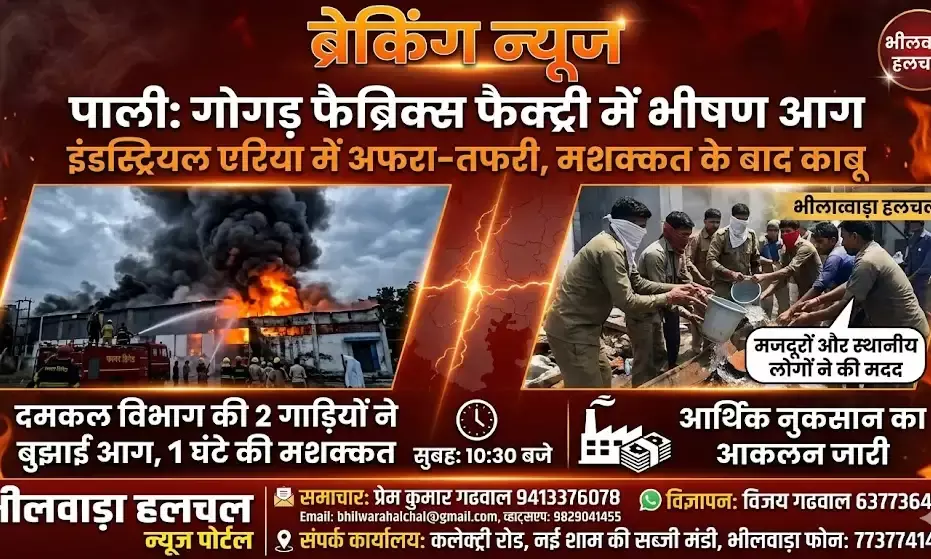 फैब्रिक्स फैक्ट्री में भीषण आग से मची अफरा-तफरी, दमकल विभाग ने पाया काबू