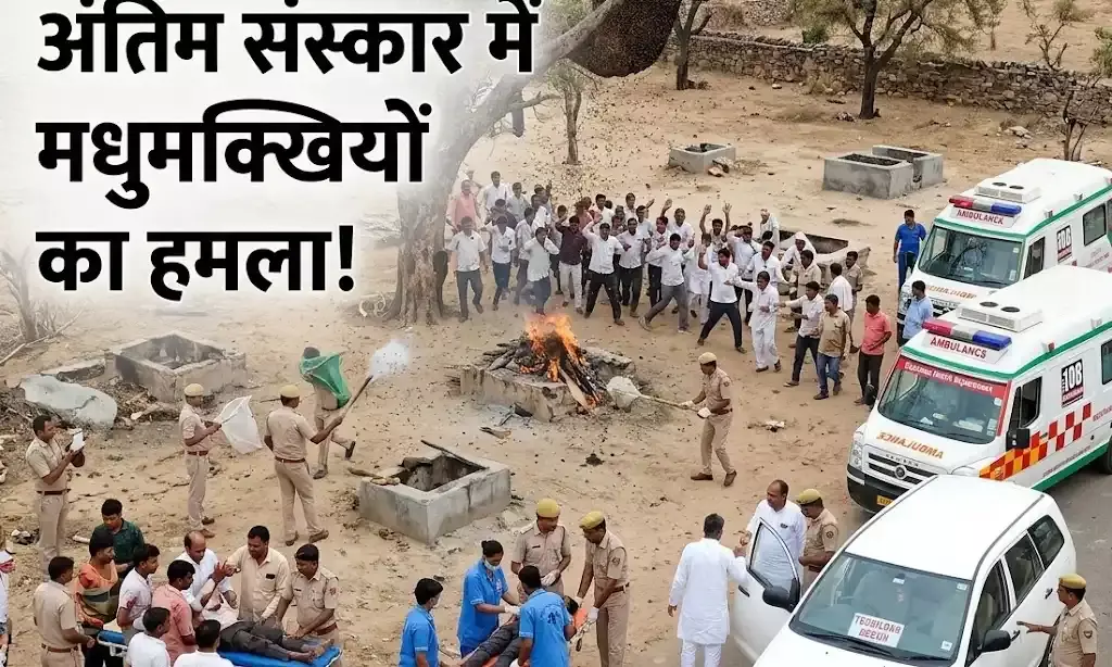 चित्तौड़गढ़: अंतिम संस्कार के दौरान मधुमक्खियों का हमला, 2 दर्जन से अधिक लोग घायल, 4 की हालत गंभीर