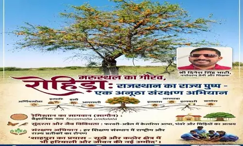 शाहपुरा के ग्रामीण अंचलों में महका राज्य पुष्प रोहिड़ा, संरक्षण के लिए अनूठा अभियान शाहपुरा के ग्रामीण अंचलों में महका राज्य पुष्प रोहिड़ा, संरक्षण के लिए अनूठा अभियान