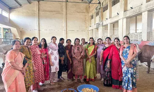 जैन दिवाकर महिला मंडल ने की जीव दया: गौ माताओं को खिलाई लापसी और गुड़