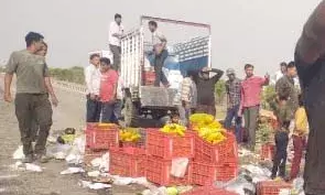 बिजौलियां के पास फलों से भरा टेंपो पलटा, दो युवक सुरक्षित बचाए गए बिजौलियां के पास फलों से भरा टेंपो पलटा, दो युवक सुरक्षित बचाए गए