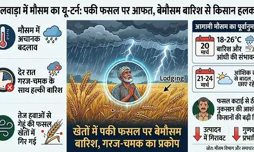भीलवाड़ा में मौसम का यू-टर्न: पकी फसल पर आफत, बेमौसम बारिश से किसान हलकान