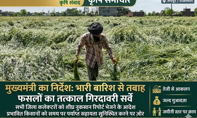 भारी बारिश से फसलों के नुकसान का तत्काल आकलन करने के निर्देश, मुख्यमंत्री भजनलाल शर्मा ने जिला कलेक्टरों को थमाया सर्वे का जिम्मा