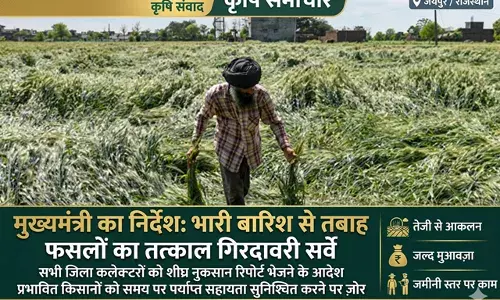 भारी बारिश से फसलों के नुकसान का तत्काल आकलन करने के निर्देश, मुख्यमंत्री भजनलाल शर्मा ने जिला कलेक्टरों को थमाया सर्वे का जिम्मा