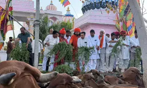 आसींद सवाई भोज महाराज का जन्मोत्सव श्रद्धापूर्वक मनाया
