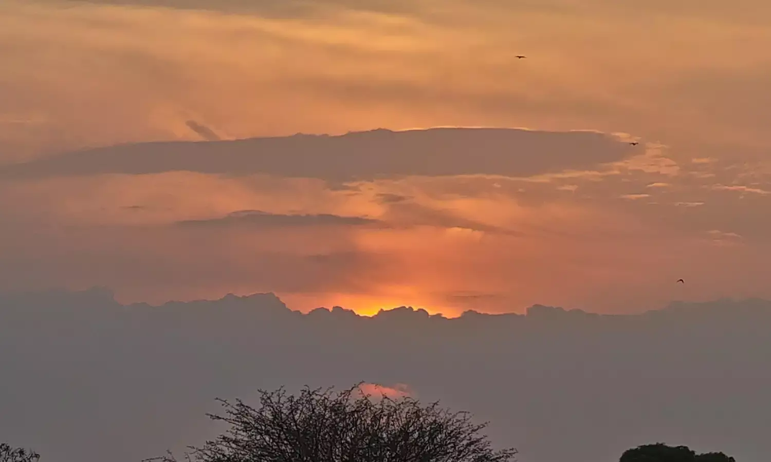 श्रद्धा और दिव्यता की स्वर्णिम संध्या: निमडिया भैरव देव मंदिर में बिखरी अनूठी आभा श्रद्धा और दिव्यता की स्वर्णिम संध्या: निमडिया भैरव देव मंदिर में बिखरी अनूठी आभा
