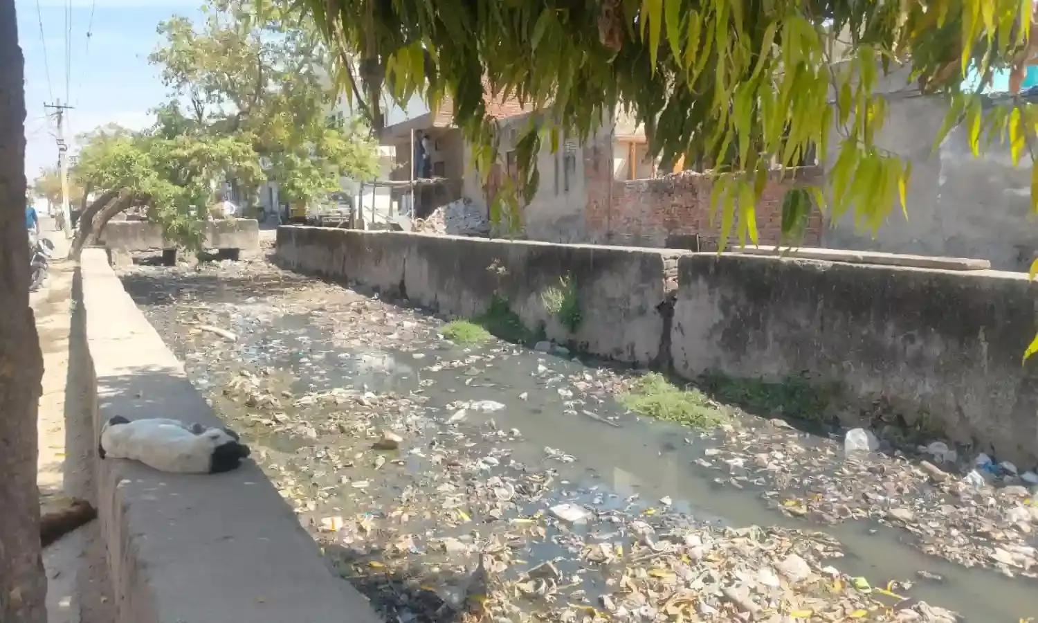 पुर में नालों और नालियों की सफाई ठप: गंदगी के अंबार से आमजन बेहाल, जिम्मेदार मौन