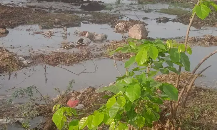 आचार्य महाप्रज्ञ सर्कल पर फूटी पाइप लाइन: दस दिनों से बह रहा व्यर्थ पानी, क्षेत्रवासी गंदा पानी पीने को मजबूर