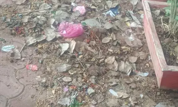 माणिक्य नगर पार्क में गंदगी के अंबार से क्षेत्रवासी परेशान