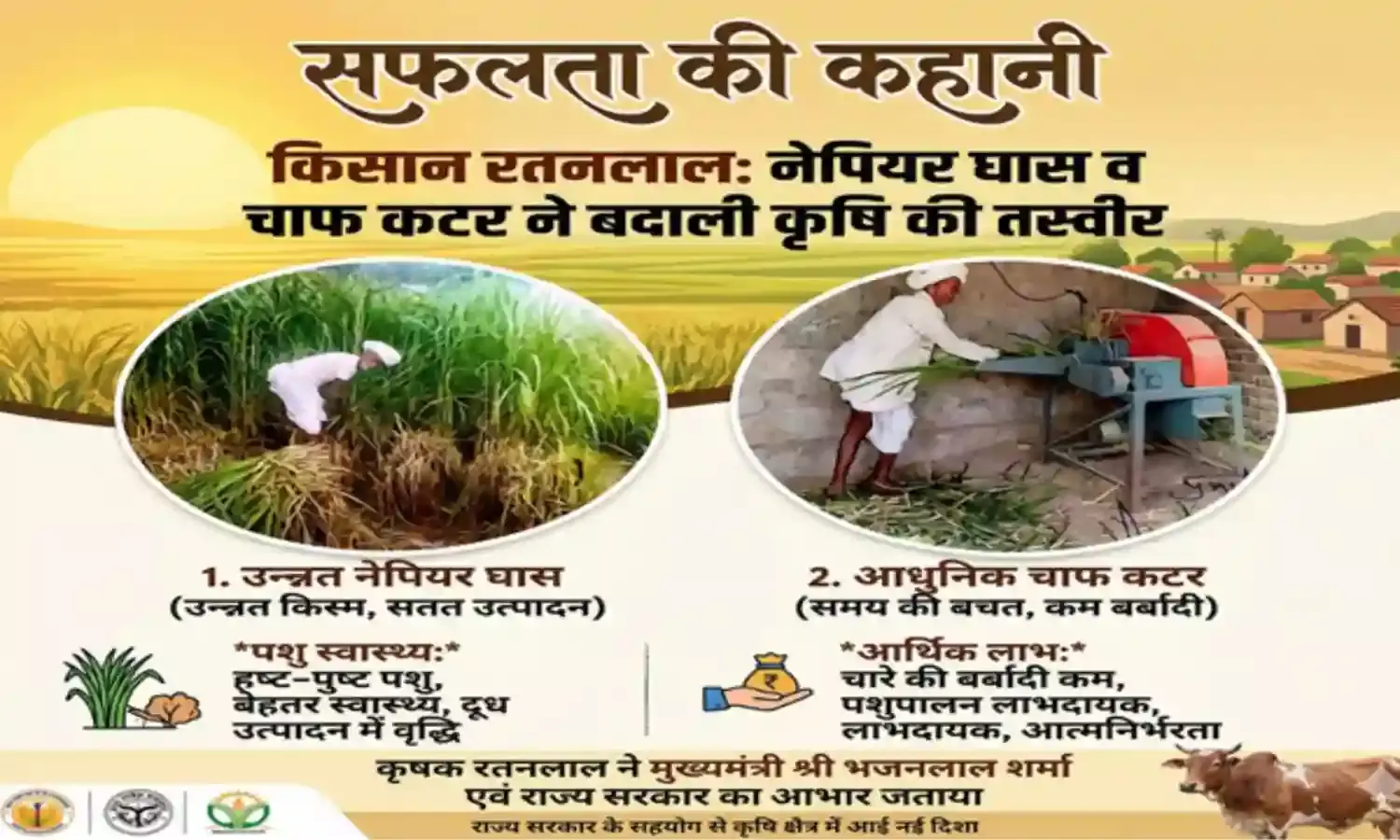 सफलता की कहानी: नेपियर घास और आधुनिक तकनीक से चमकी रतनलाल की किस्मत