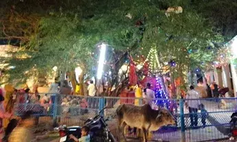 आस्था का केंद्र बना हमीरगढ़ का काबरा माताजी मंदिर, बीमारियों से राहत की मान्यता