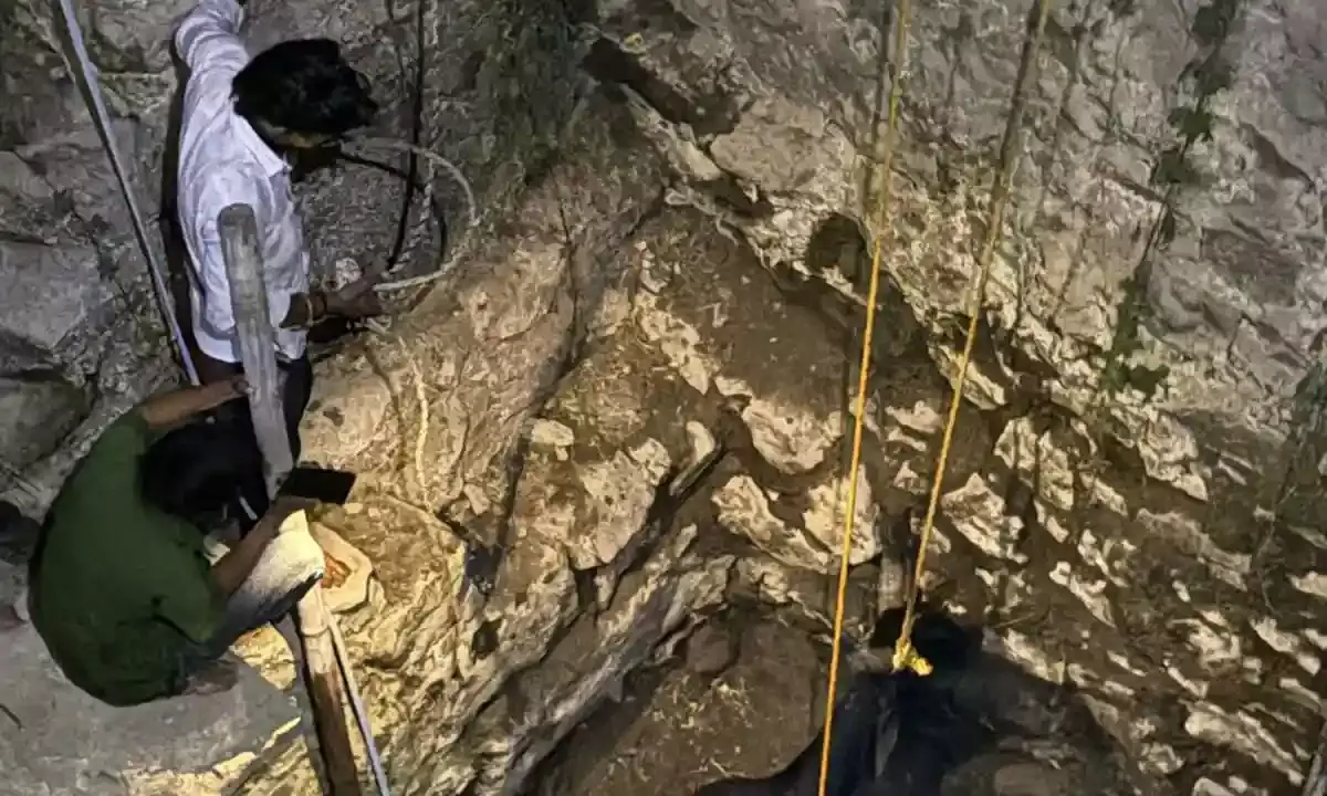 भीलवाड़ा: कुएं में गिरे बैल का सफल रेस्क्यू, गौरक्षकों और ग्रामीणों ने बचाई जान भीलवाड़ा: कुएं में गिरे बैल का सफल रेस्क्यू, गौरक्षकों और ग्रामीणों ने बचाई जान