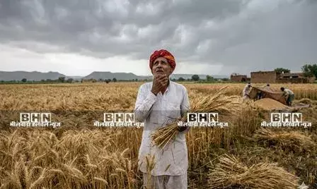 आसमान में छाए बादल, किसानों के माथे पर चिंता की लकीरें; गेहूं-जौ की फसल पर संकट आसमान में छाए बादल, किसानों के माथे पर चिंता की लकीरें; गेहूं-जौ की फसल पर संकट
