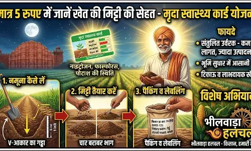 मात्र 5 रुपए में जानें अपने खेत की मिट्टी की सेहत, फसल की लागत घटेगी और बढ़ेगा उत्पादन