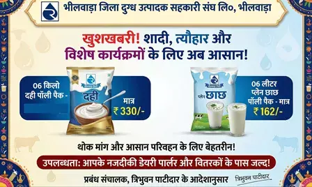 भीलवाड़ा डेयरी की नई पहल: अब 6 किलो के पैक में मिलेंगे दही और छाछ, शादियों और त्योहारों के लिए विशेष सुविधा