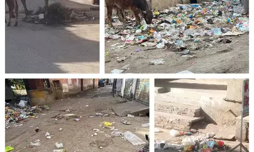 बनेड़ा में सफाई व्यवस्था बदहाल, चौखी बावड़ी चौराहे पर कचरे के अंबार से राहगीर परेशान