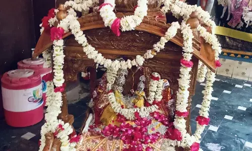 हमीरगढ़ में खटीक समाज ने निकाली पारंपरिक फूलडोल शोभायात्रा, गुलाल से रंगा माहौल