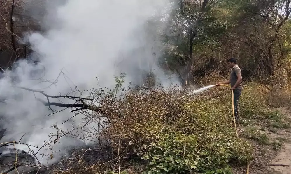 बोरखेड़ा में देवनारायण की बन्नी में लगी आग, दमकल से पाया काबू