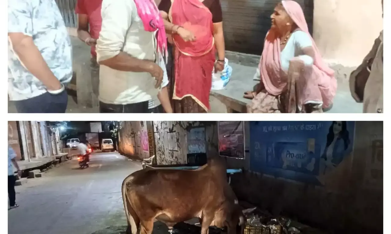 बनेड़ा में आवारा सांड का आतंक, महिला घायल - लोगों में भारी आक्रोश बनेड़ा में आवारा सांड का आतंक, महिला घायल - लोगों में भारी आक्रोश