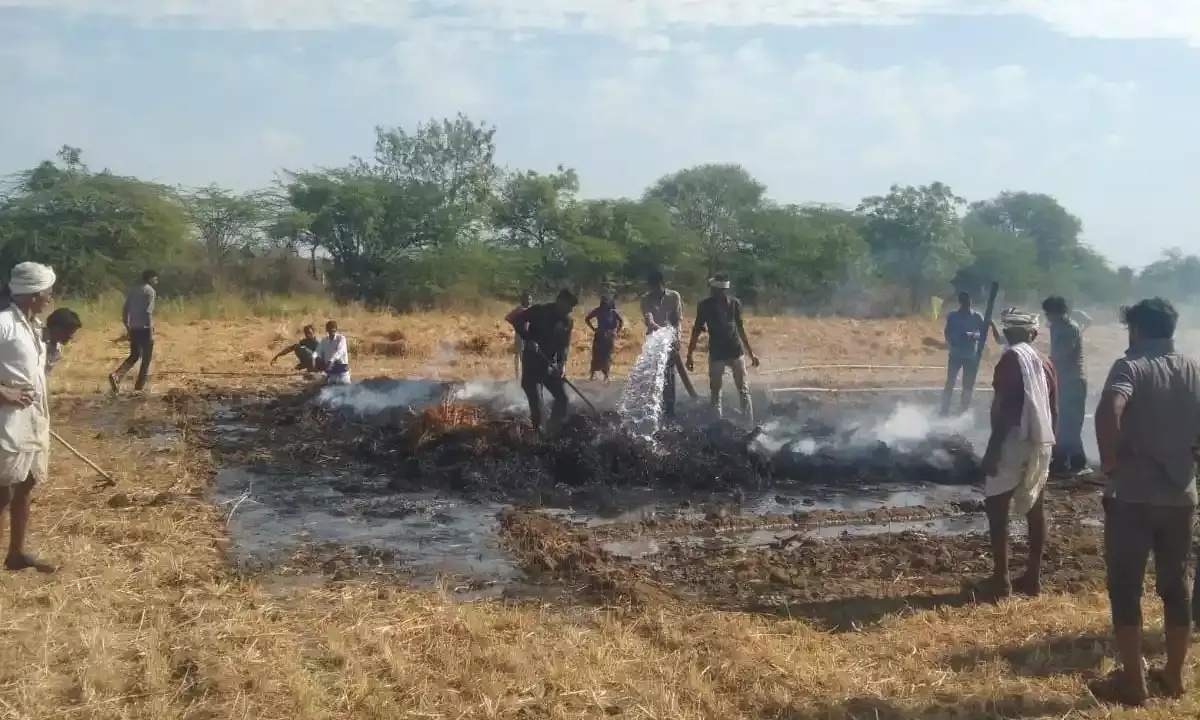 लखमणियास में गेहूं के खेत में लगी भीषण आग, किसान की चार महीने की मेहनत राख