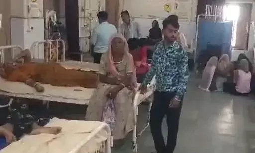 आसींद तहसील परिसर में मधुमक्खियों का हमला, सात लोग घायल, मची अफरा-तफरी