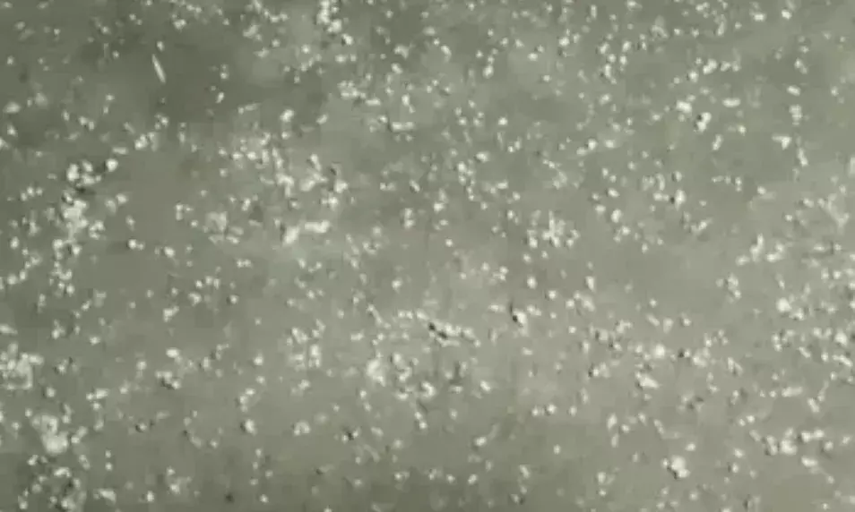 राजस्थान में मौसम का मिजाज बदला: रेगिस्तानी जिलों में बारिश और ओलों की बौछार, 17 जिलों में ऑरेंज अलर्ट