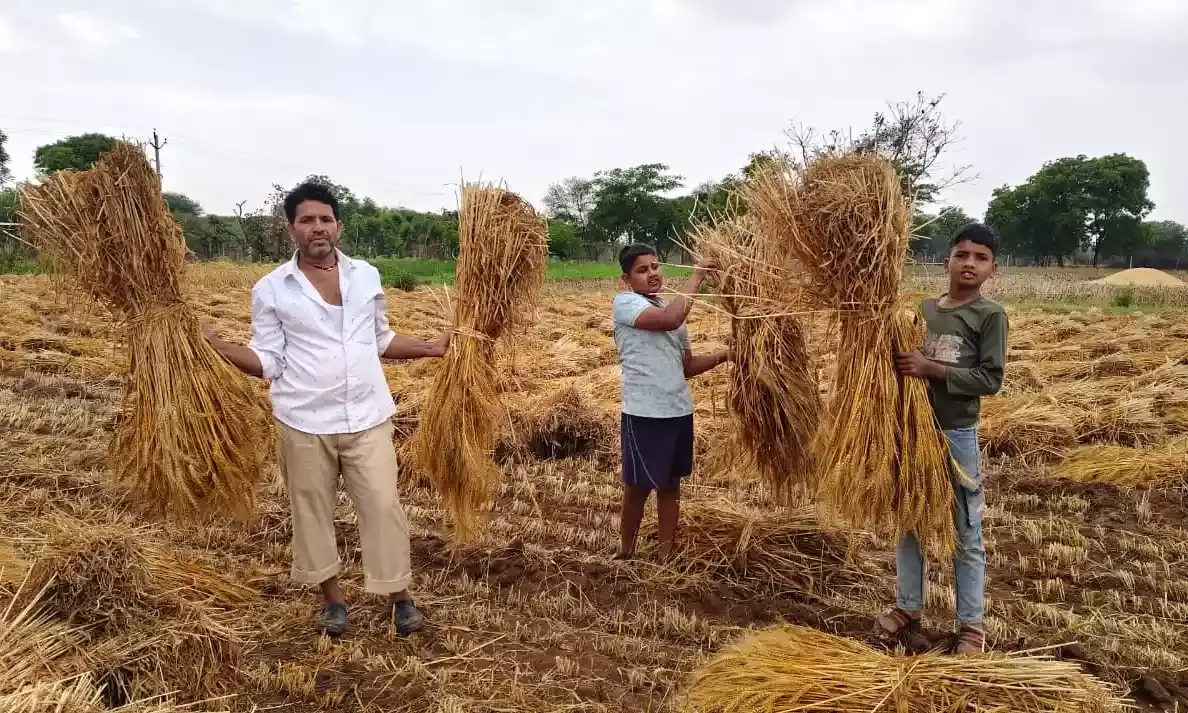 सवाईपुर क्षेत्र में कुदरत का कहर: अंधड़ और बारिश के साथ गिरे ओले, किसानों की उम्मीदों पर फिरा पानी