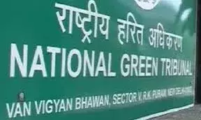 एनजीटी से जिन्दल सॉ लिमिटेड को बड़ी राहत: गौशाला और पौधारोपण के मामले में जाजू की याचिका खारिज