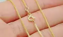 बस में चढ़ने के दौरान महिला के गले से सोने की चेन पार