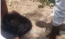 मानवता की मिसाल, डिब्बे में फंसे बेजुबान की बचाई जान मानवता की मिसाल, डिब्बे में फंसे बेजुबान की बचाई जान