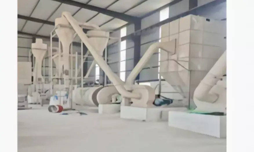 अभिलाषा देवी डांगी बनी महिला सशक्तिकरण की नई मिसाल’