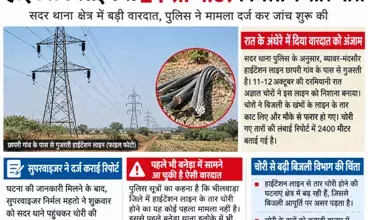 भीलवाड़ा: छापरी गांव में चोरों का आतंक, हाईटेंशन लाइन से 24 सौ मीटर बिजली के तार चोरी; मामला दर्ज