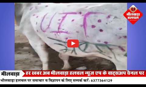 यूआईटी ओपन लॉटरी पर विवाद तेज: , आवंटियों की “चाय पर चर्चा” आज, हाई कोर्ट जाने की तैयारी, बेल पर लिखा यूआईटी भ्रष्टाचार