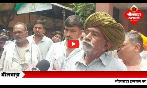 जालमपुरा में 35 बीघा वन भूमि से पेड़ों की अवैध कटाई पर ग्रामीणों में रोष, कलेक्टर को सौंपा ज्ञापन