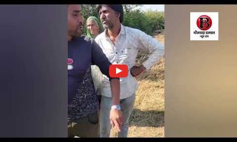 बागोर: सड़क किनारे जख़्मी पैंथर का शावक मिला, पास ही तीन और शावकों की मौजूदगी से क्षेत्र में हड़कंप