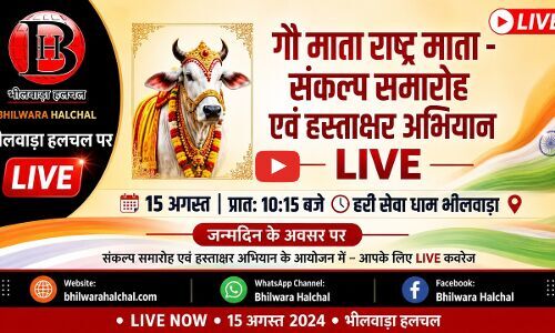 धूमधाम से मनाया जा रहा धीरज गुर्जर का जन्मोत्सव, हरिशेवा धाम में उमड़ा समर्थकों का सैलाब