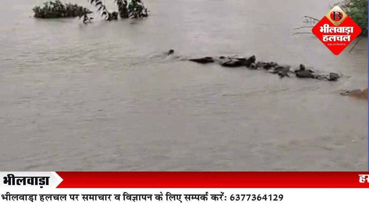 बिजौलियां में मुसलाधार बारिश, नदी नाले उफान पर,भीलवाड़ा,बूंदी व शक्करगढ़ से कटा संपर्क, नदी में बहे दो युवक