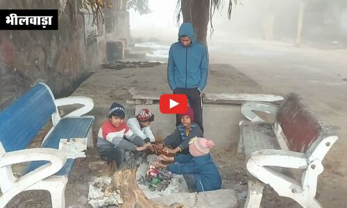 शीत लहर का प्रकोप, भीलवाड़ा में छाया कोहरा, रेंगते हुए नजर आए वाहन