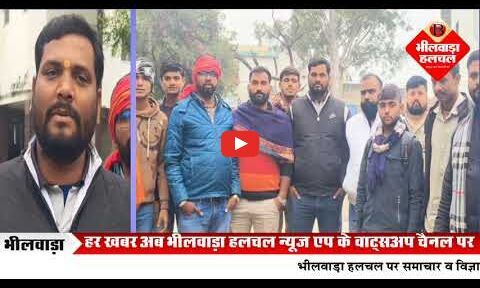 नाले में गिरकर हो रही गौवंश की मौतों को लेकर गौ सेवकों का विरोध, यूआईटी सचिव को सौंपा ज्ञापन