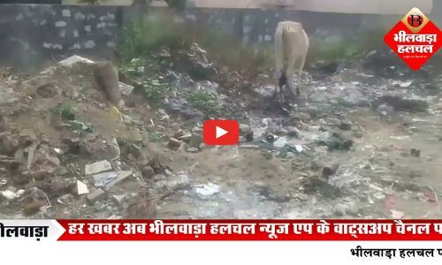 रीको क्षेत्र में कंपनियों के वेस्टेज से गौ मृत्यु की बढ़ती घटनाएँ, प्रशासन से कड़े कदम उठाने की अपील