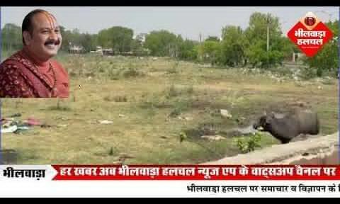 संतों ने किया भीलवाड़ा में होने वाली पंडित प्रदीप मिश्रा की शिव महापुराण कथा के लिए संभावित स्थल का अवलोकन