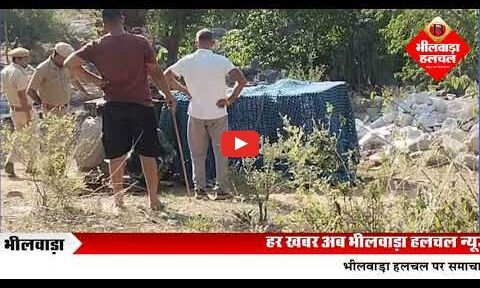 केलवा की मादड़ी में पिंजरे में कैद हुआ नर पैंथर, वन विभाग ने किया रेस्क्यू