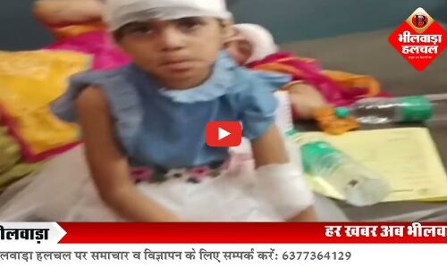 राजसमंद में बेकाबू स्लीपर कोच चढ़ी डिवाईडर पर, पलटने से भीलवाड़ा के दो यात्रियों सहित तीन की मौत, डेढ़ दर्जन घायल
