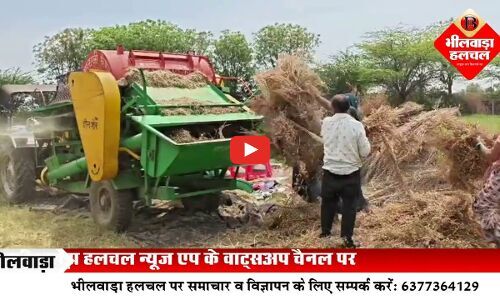 खेत-खलिहानों में गूंज रही थ्रेशर की आवाज: भीलवाड़ा में रबी फसल की बंपर कटाई शुरू