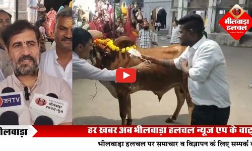 दूदाधारी मंदिर में दीपावली के दूसरे अन्नकूट महोत्सव की धूम, गिरिराज पूजन और गौ सेवा रही विशेष आकर्षण