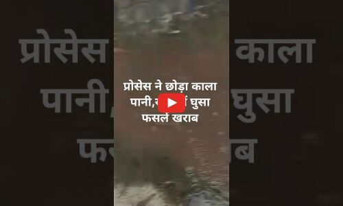 समर्पण प्रोसेस से छोड़ा गया रासायनिक पानी खेतों में घुसा, फसलें नष्ट