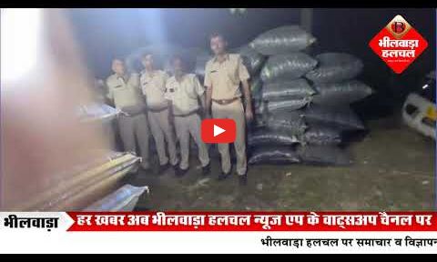 11 क्विंटल डोडा-चूरा बरामद, पिकअप और क्रेटा जब्त, तस्कर फरार