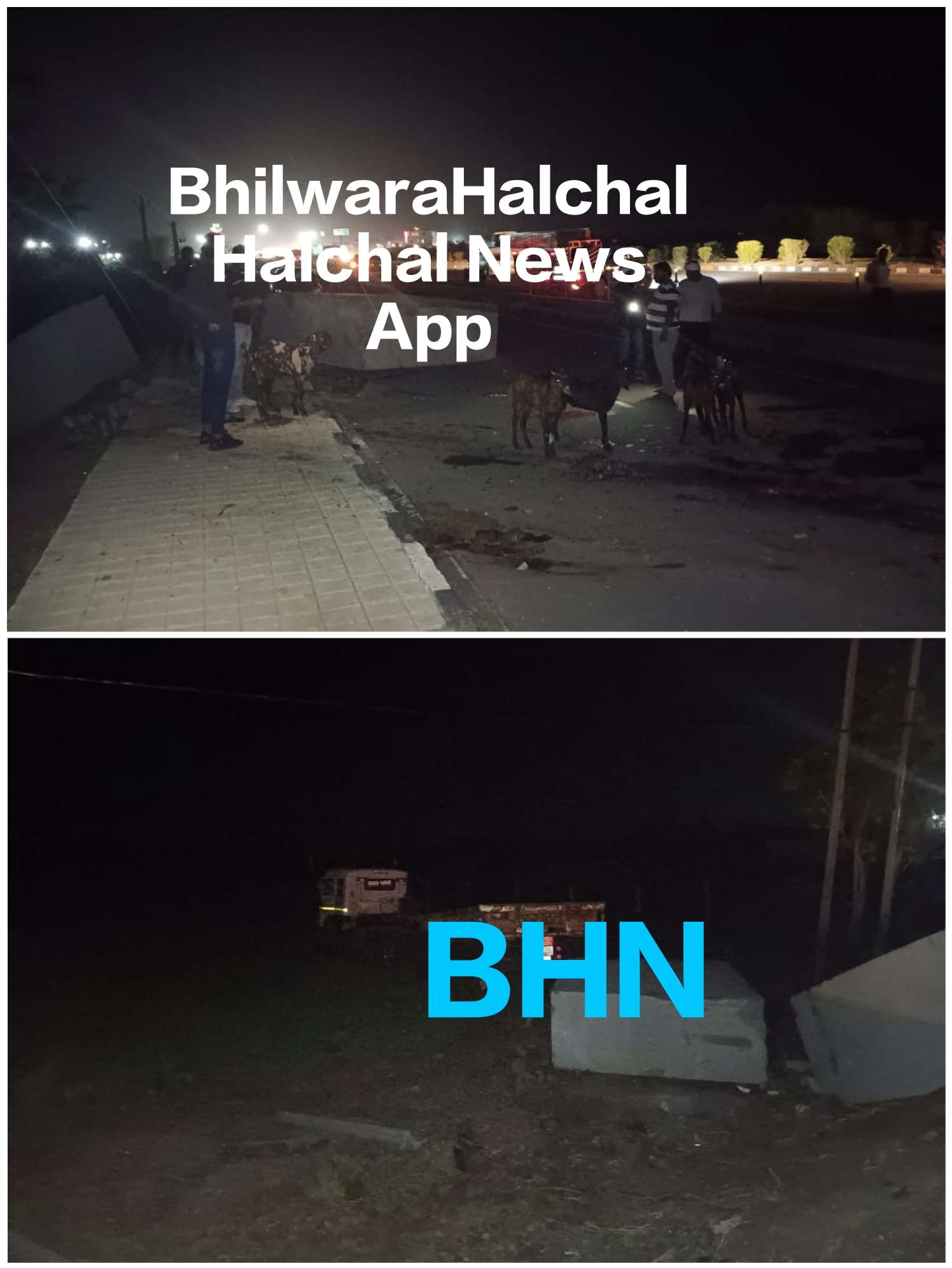 बकरियां लेकर बांसवाड़ा जा रही पिकअप को ट्रेलर ने मारी टक्कर, एक की मौत, एक घायल